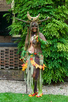 Forest Folk